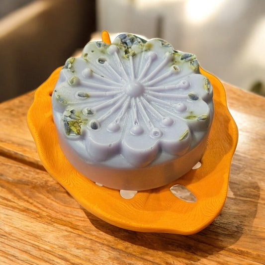 Monstera Leaf Soap Dish