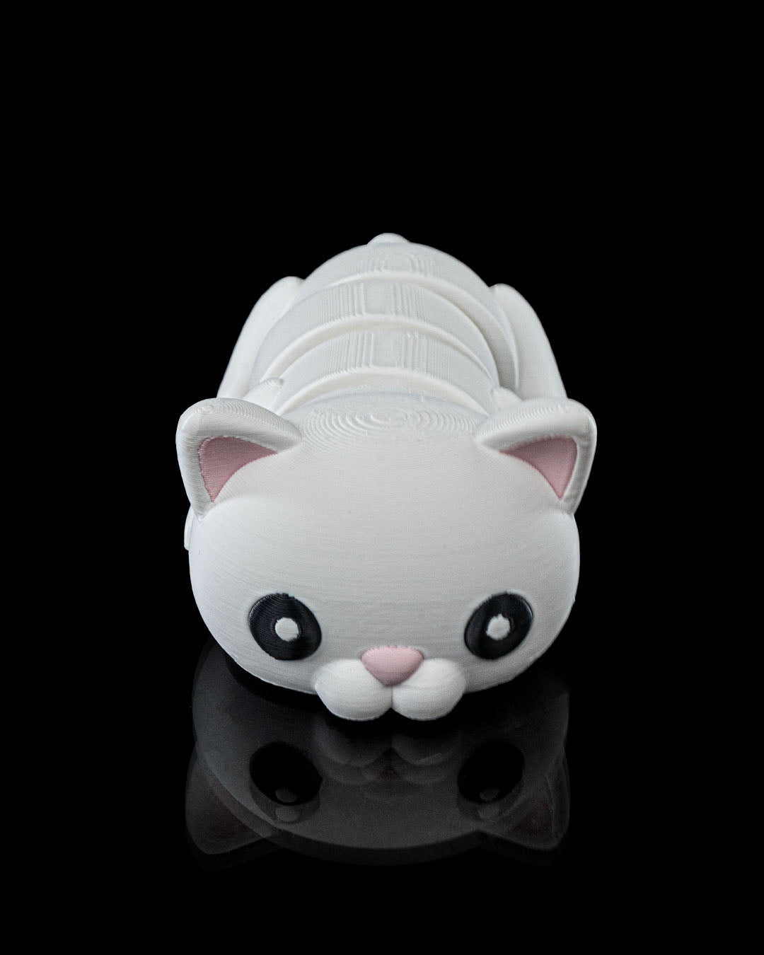 Flexi Cat