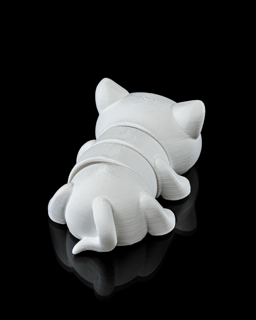 Flexi Cat