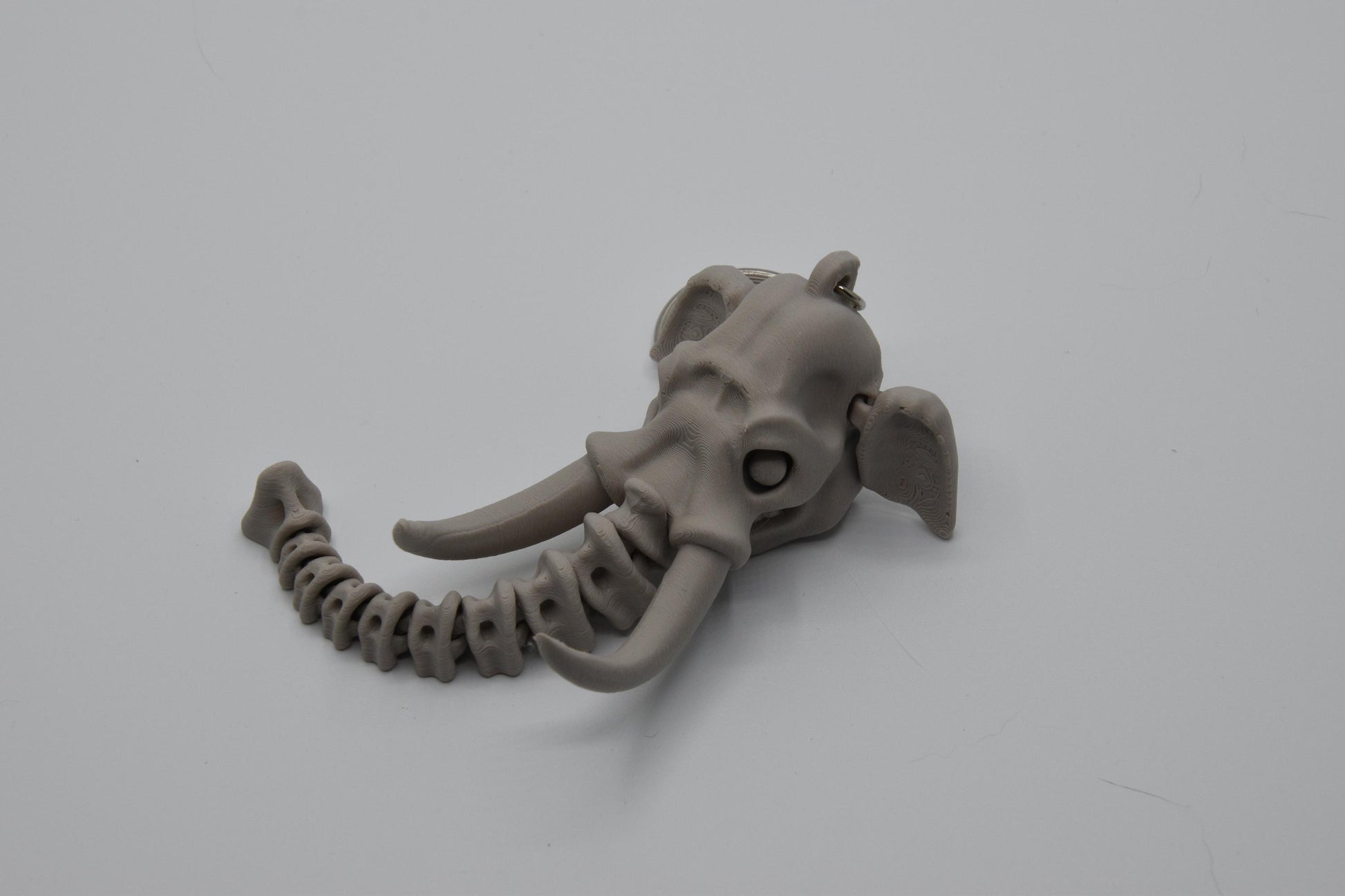 Safari Animal Skeleton Keychains